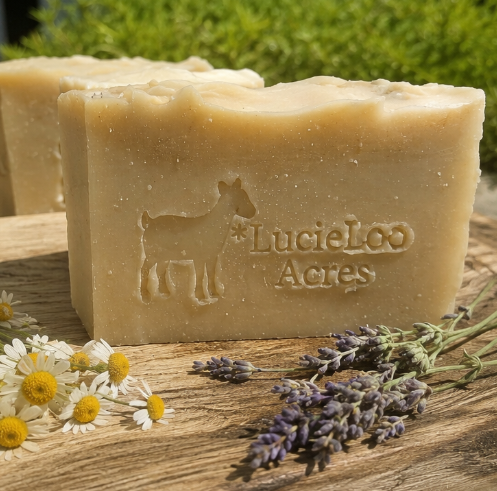 Spring Forage - LIMITED EDITION