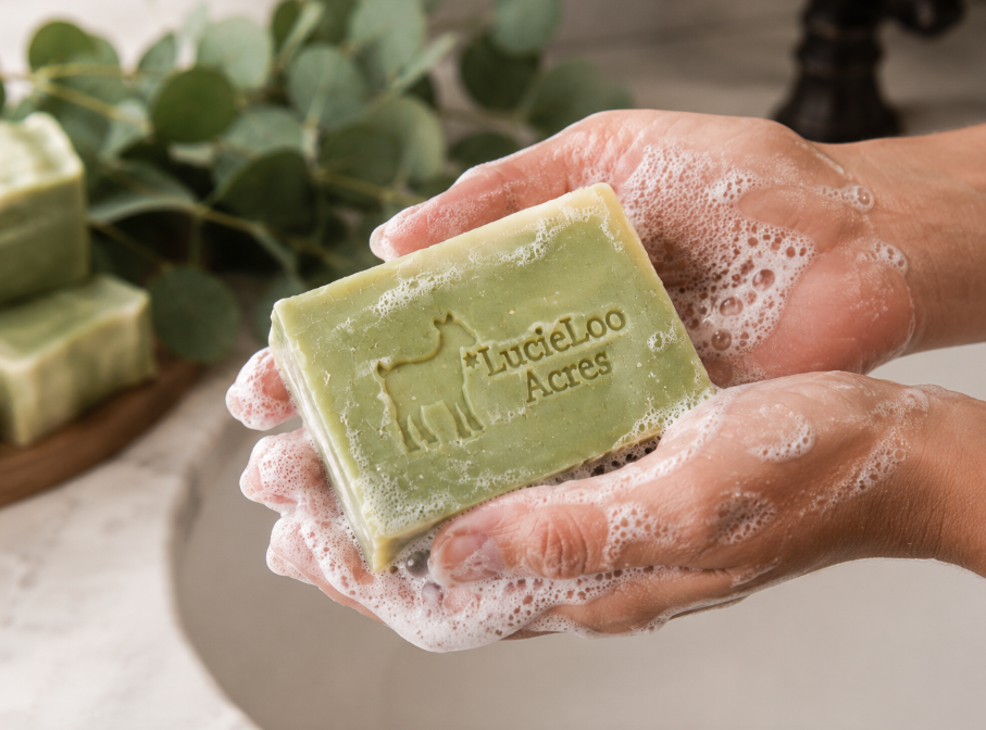 Eucalyptus Grove Goat Milk Soap