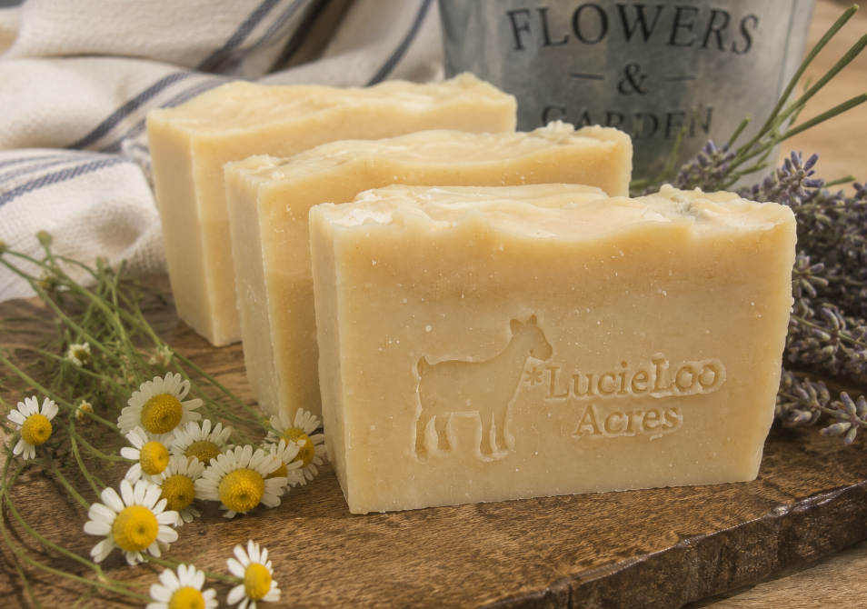Spring Forage - LIMITED EDITION